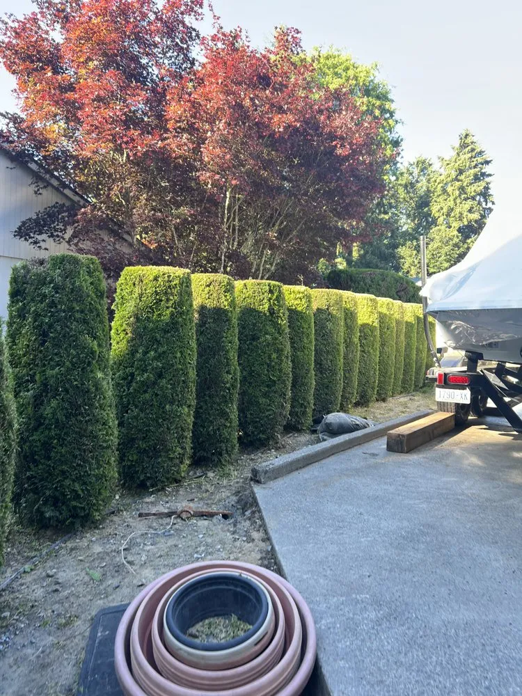 Professional yard maintenance experts serving Vancouver, WA - On Point Tree Service & Landscaping
