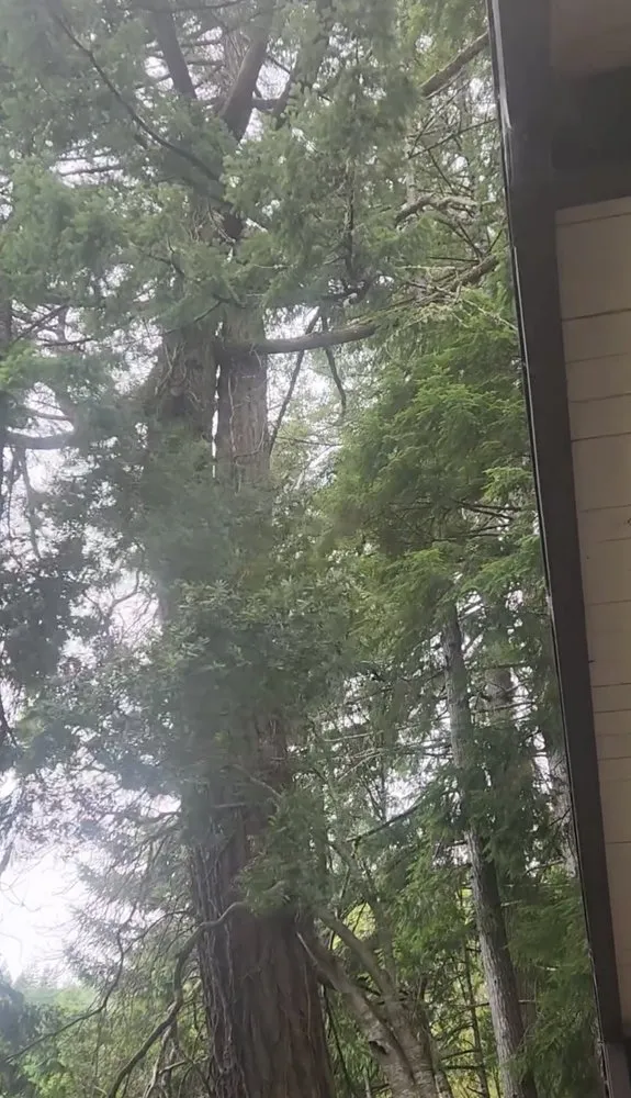 Reliable outdoor landscaping experts serving Vancouver, WA - On Point Tree Service & Landscaping