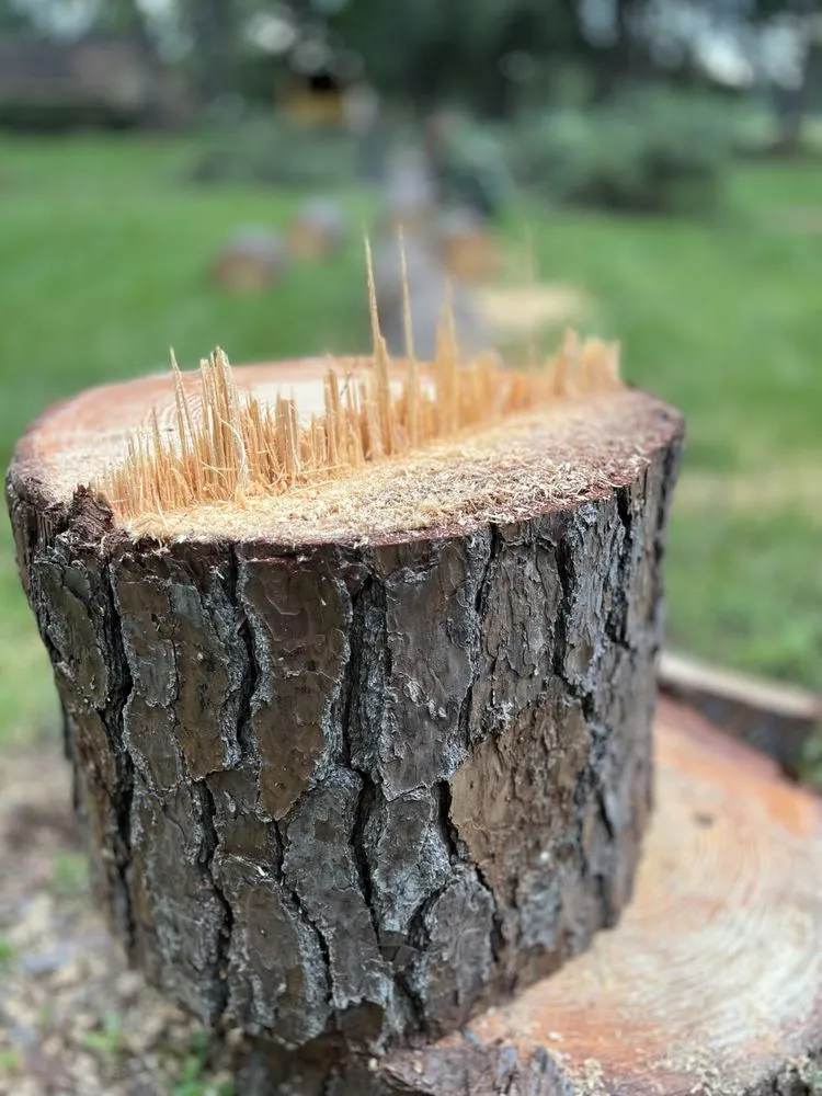 Local outdoor landscaping experts serving Katy, TX - On Point Tree Service