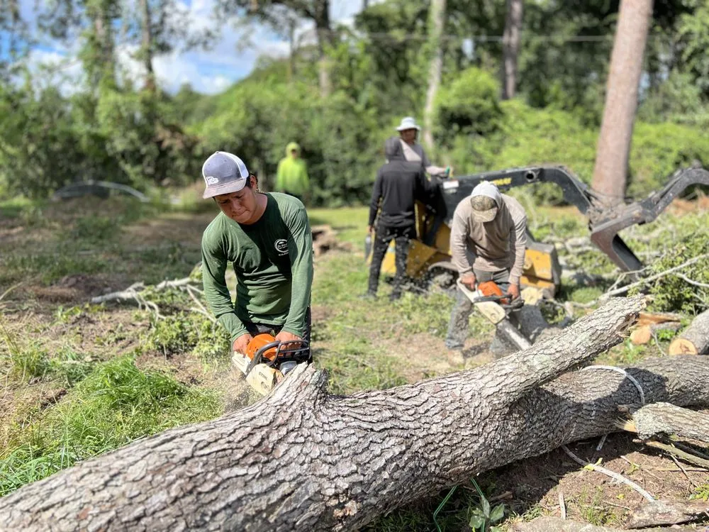 Custom garden landscaping in Katy, TX by On Point Tree Service