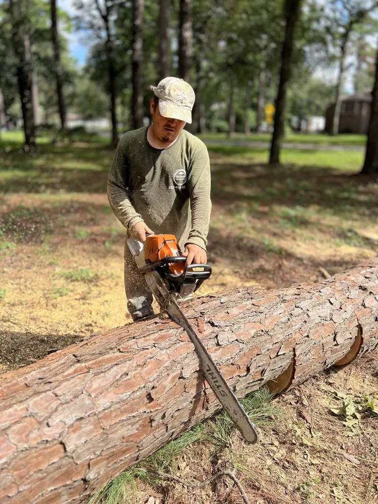 Affordable landscaping services near you across Katy, TX - On Point Tree Service