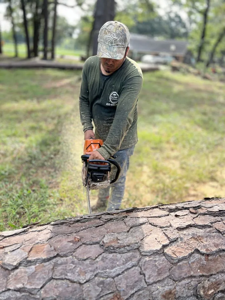 Trusted yard maintenance in Katy, TX by On Point Tree Service