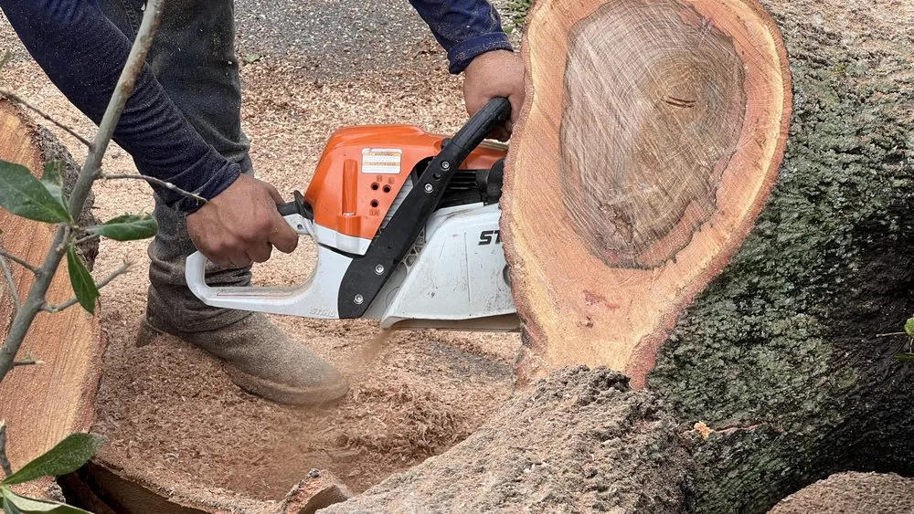 Affordable lawn care service in Katy, TX by On Point Tree Service