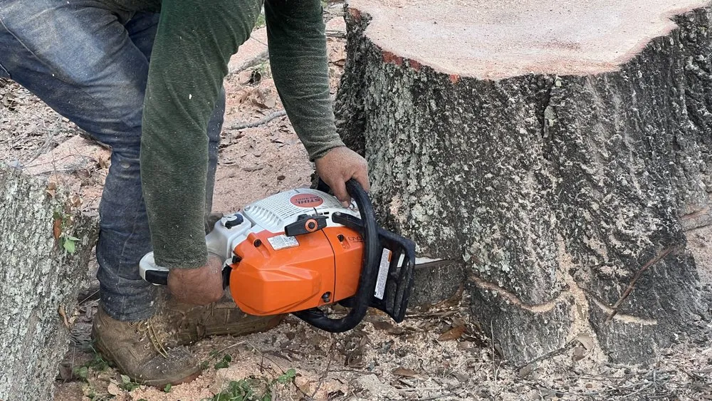 Affordable yard maintenance for year-round maintenance across Katy, TX - On Point Tree Service