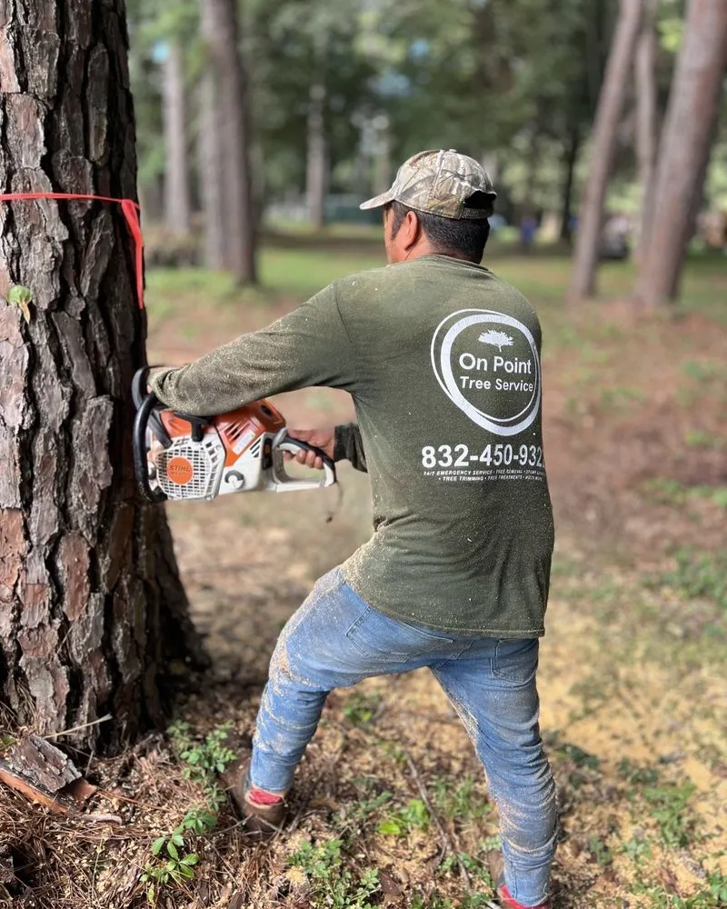 Top-rated landscaping services in Katy, TX by On Point Tree Service