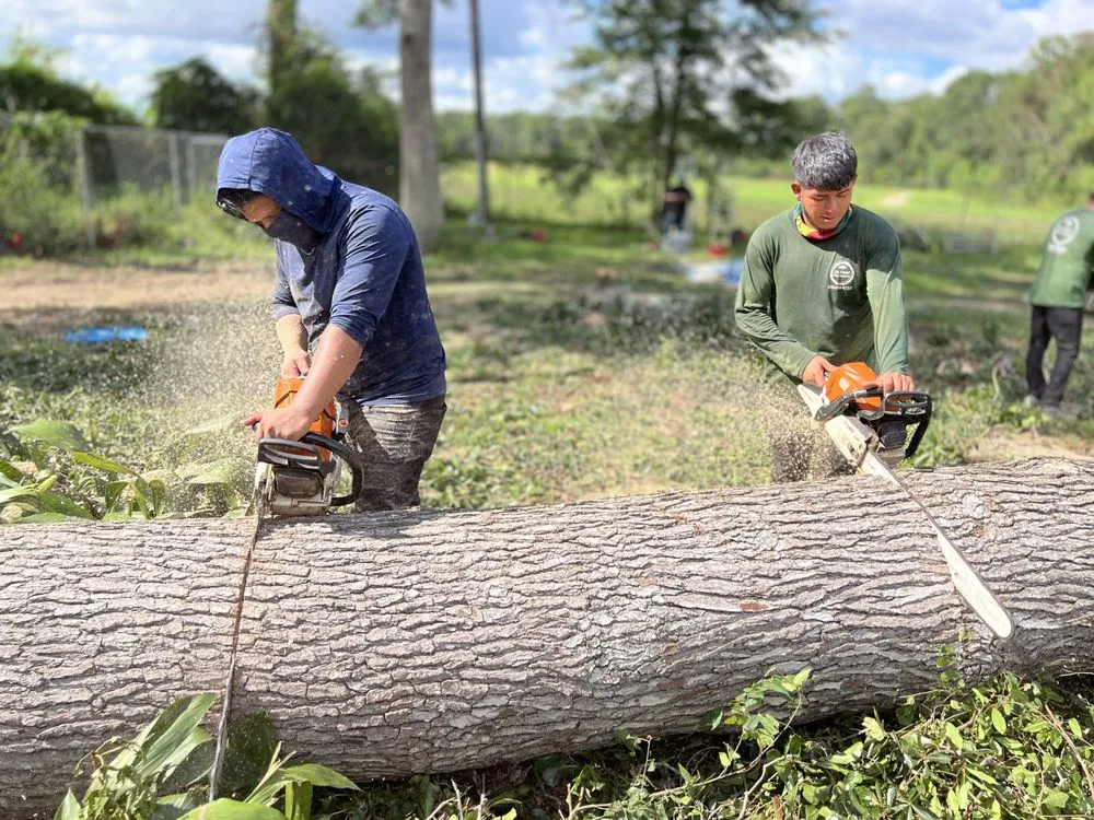 Top-rated landscaping services for residential properties in Katy, TX by On Point Tree Service