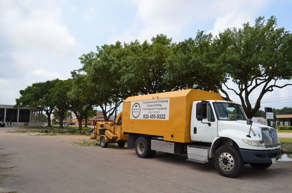 Affordable landscape installation in Katy, TX by On Point Tree Service