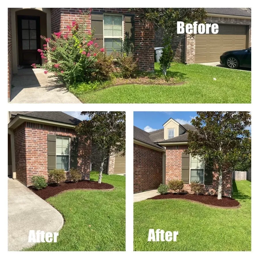 Trusted yard cleanup service for outdoor upgrades across Scott, LA - On Point Werking