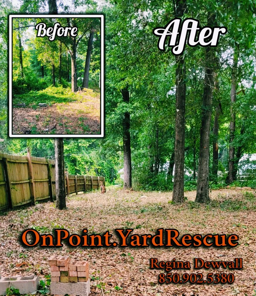 Trusted yard cleanup service near you across Crestview, FL - On Point Yard Rescue