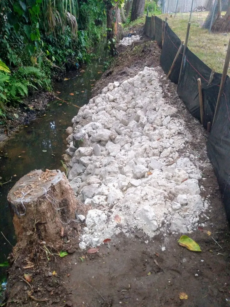 Professional yard cleanup service experts serving Bradenton, FL - On Q Land Services