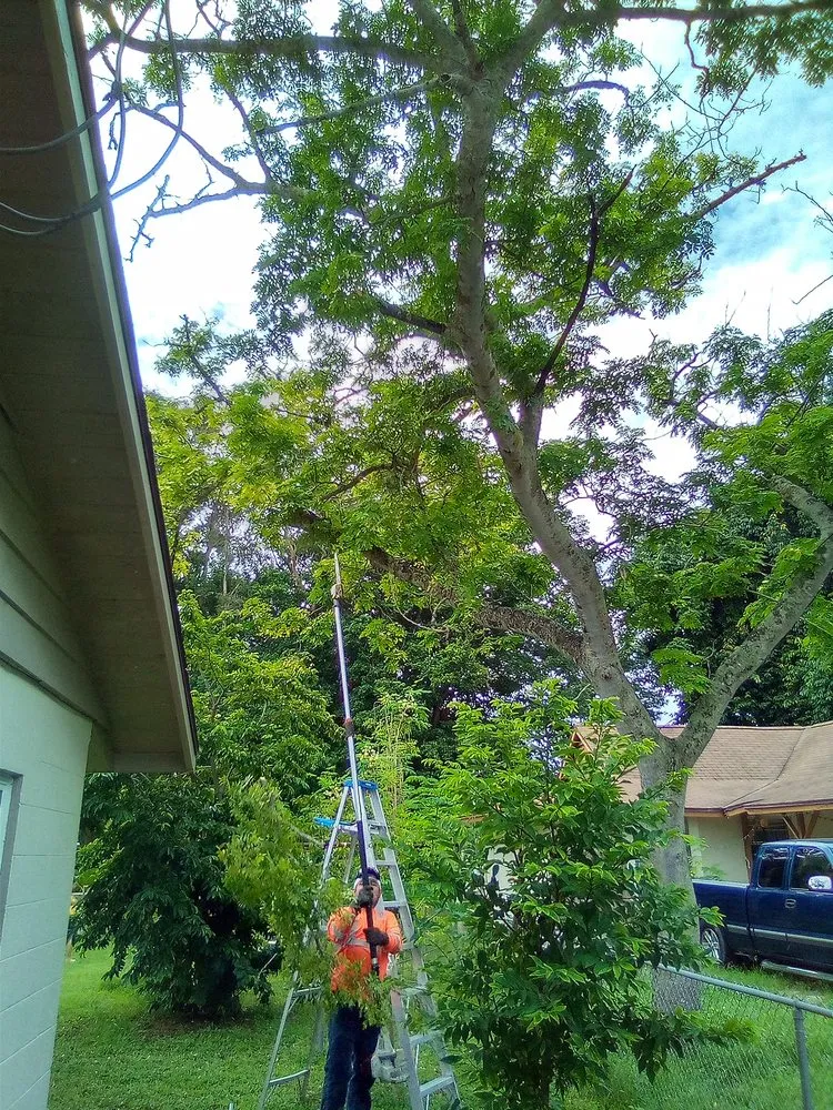 Custom garden landscaping in Bradenton, FL by On Q Land Services