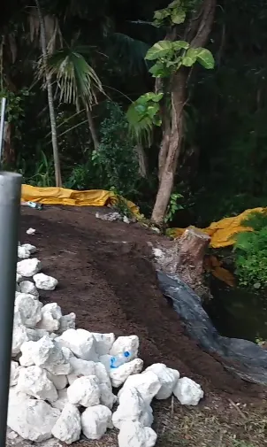 Professional landscape installation for homes in Bradenton, FL by On Q Land Services