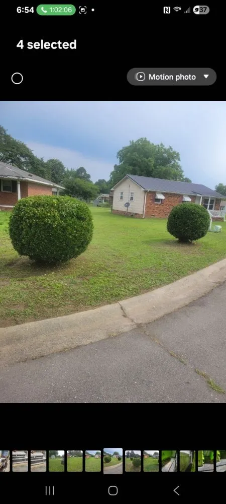 Trusted yard cleanup service in Goldsboro, NC - On Sight Junk Removal & Hauling Debris