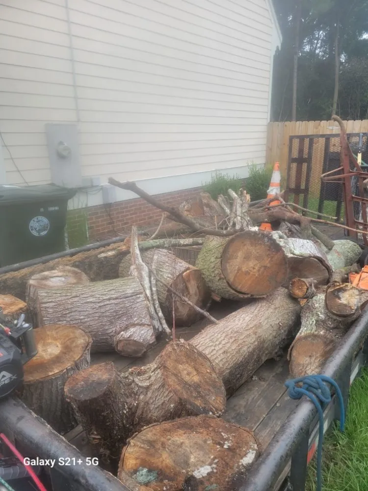 Local yard cleanup service near you in Goldsboro, NC by On Sight Junk Removal & Hauling Debris