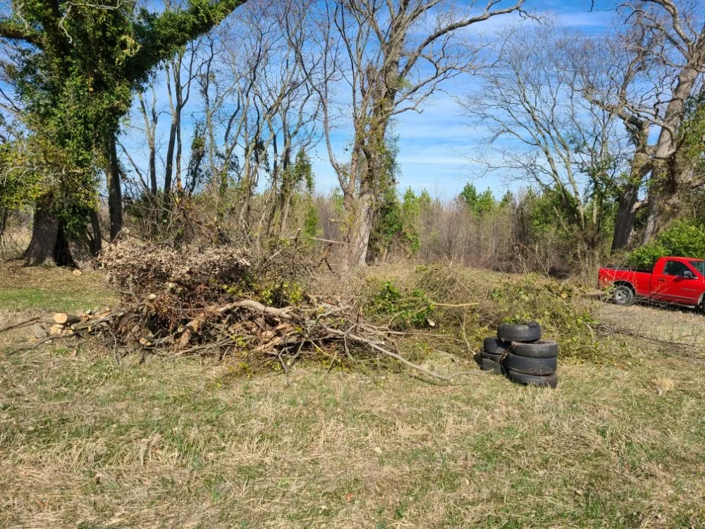Reliable lawn care service with custom design across Goldsboro, NC - On Sight Junk Removal & Hauling Debris