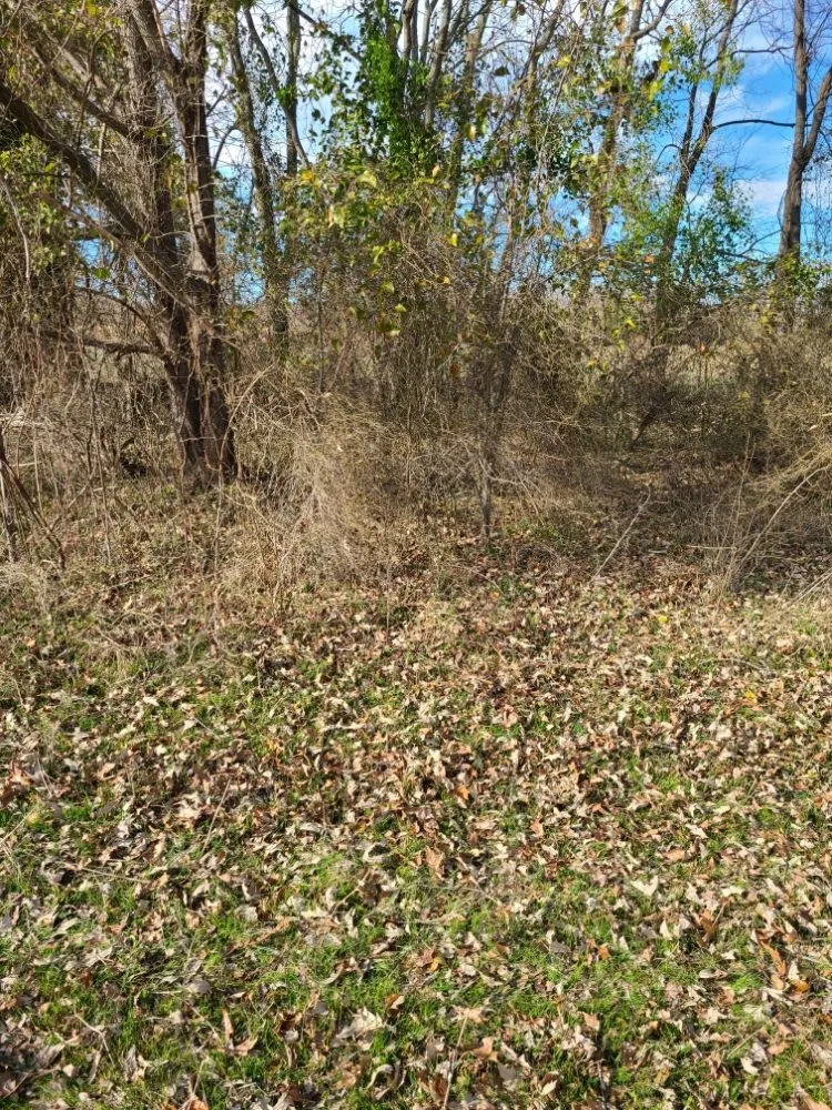 Custom lawn mowing service in Goldsboro, NC by On Sight Junk Removal & Hauling Debris