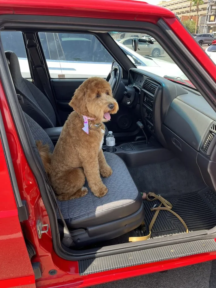 Professional landscaping services in Scottsdale, AZ - On Site Home Watch