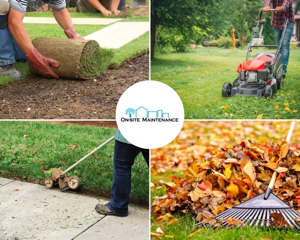 Reliable landscaping services near you across Campbell, CA - On-Site Maintenance