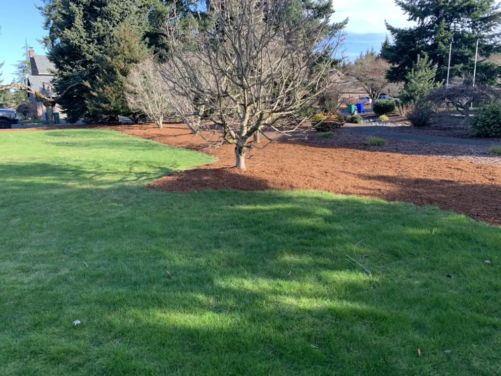 Reliable landscaping services in Boring, OR - On Target Landscape maintenance