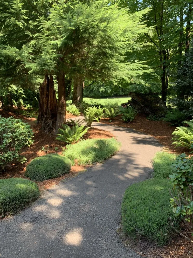 Custom lawn care service for outdoor upgrades across Boring, OR - On Target Landscape maintenance