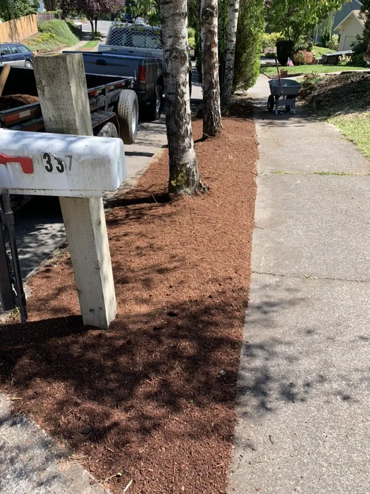 Professional yard cleanup service for beautiful yards in Boring, OR by On Target Landscape maintenance