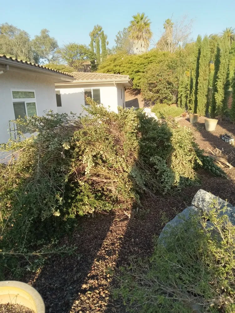 Expert landscape installation in Olympia, WA - On The Dot Hauling