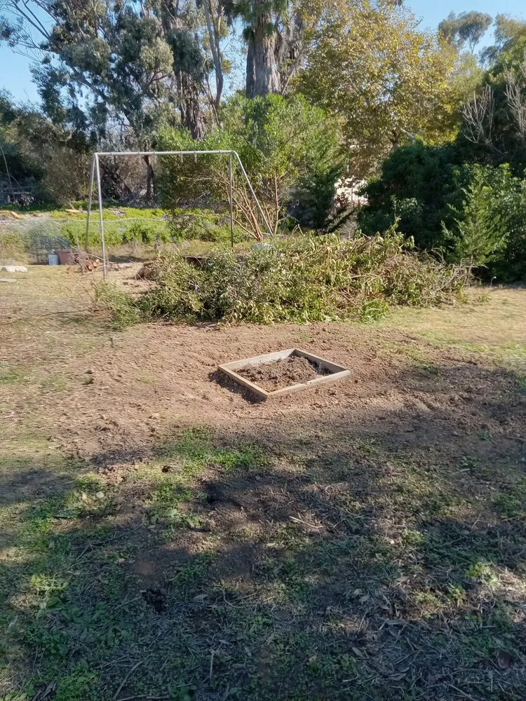 Affordable yard cleanup service in Olympia, WA - On The Dot Hauling