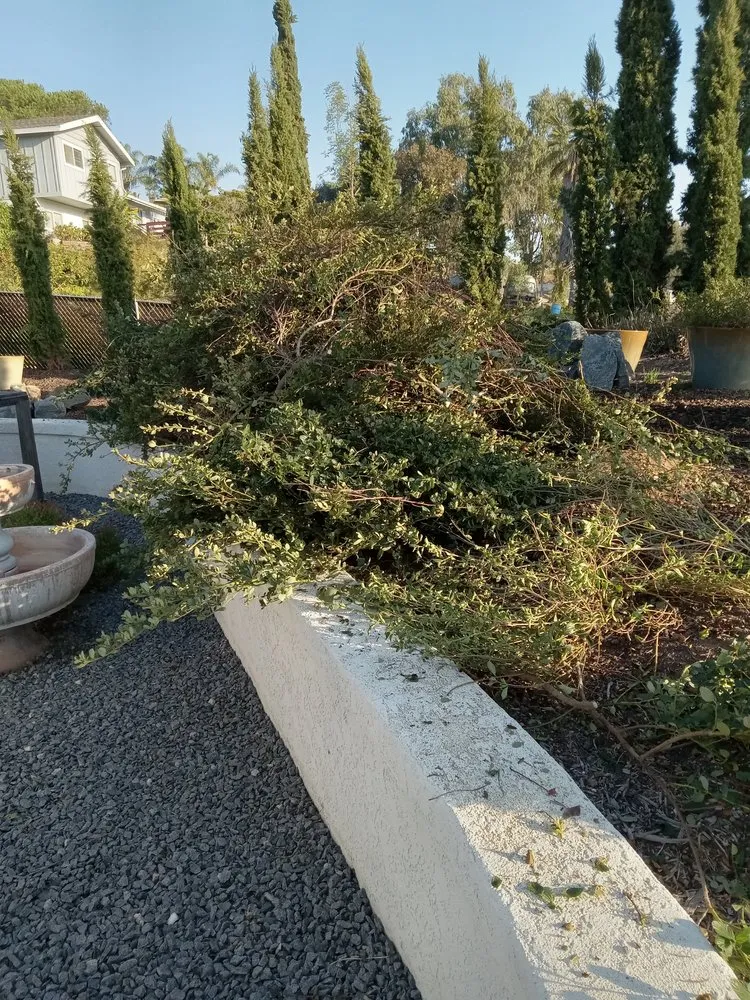 Custom landscape design near you across Olympia, WA - On The Dot Hauling