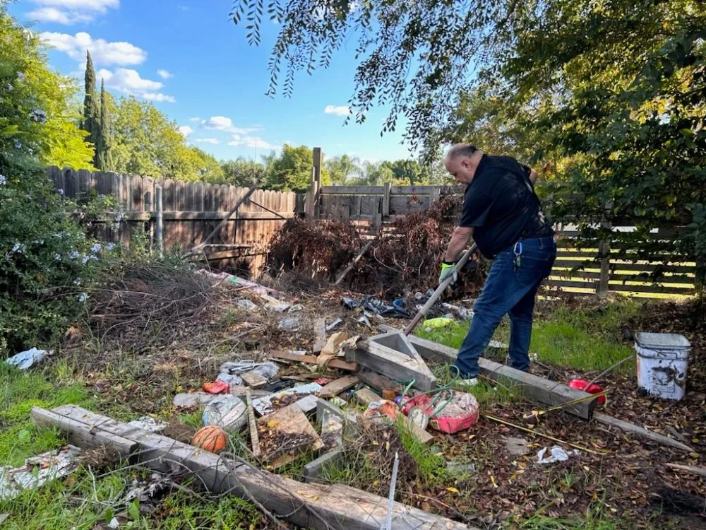 Trusted yard cleanup service in Olympia, WA - On The Dot Hauling