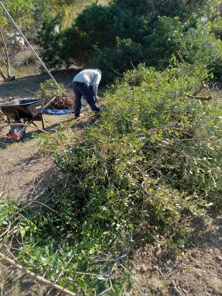 Trusted landscaping services for outdoor upgrades across Olympia, WA - On The Dot Hauling