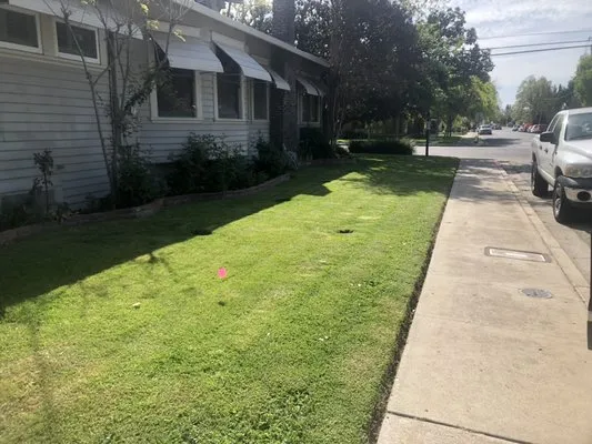 On The Double Yard Care