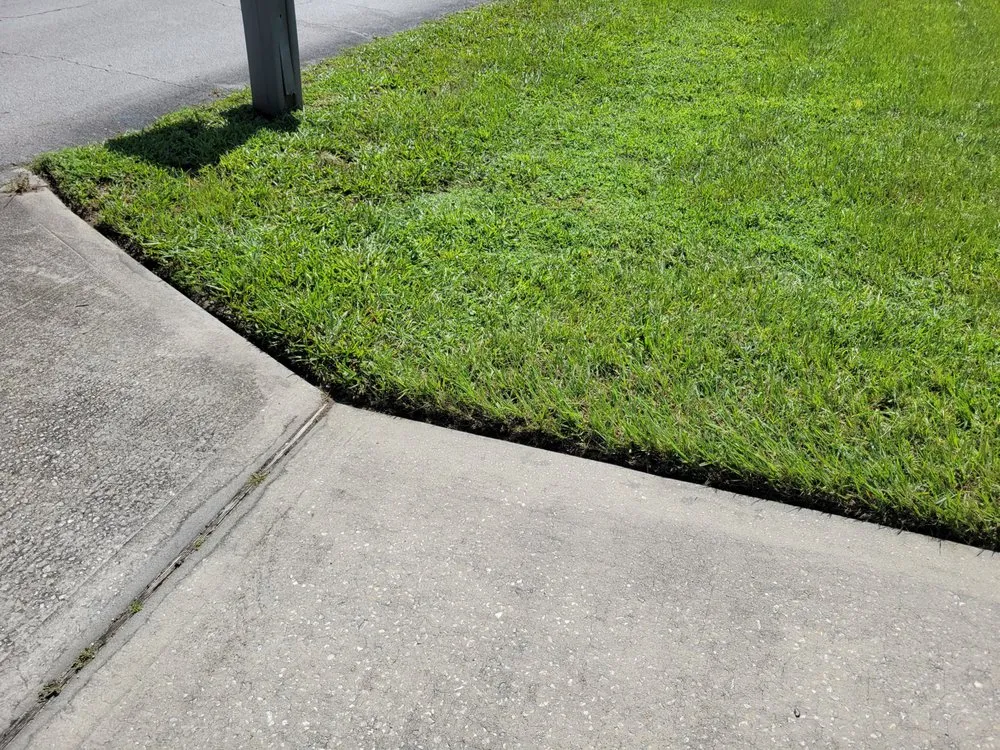 Affordable outdoor landscaping for homes across Orange City, FL - On The Fly 407