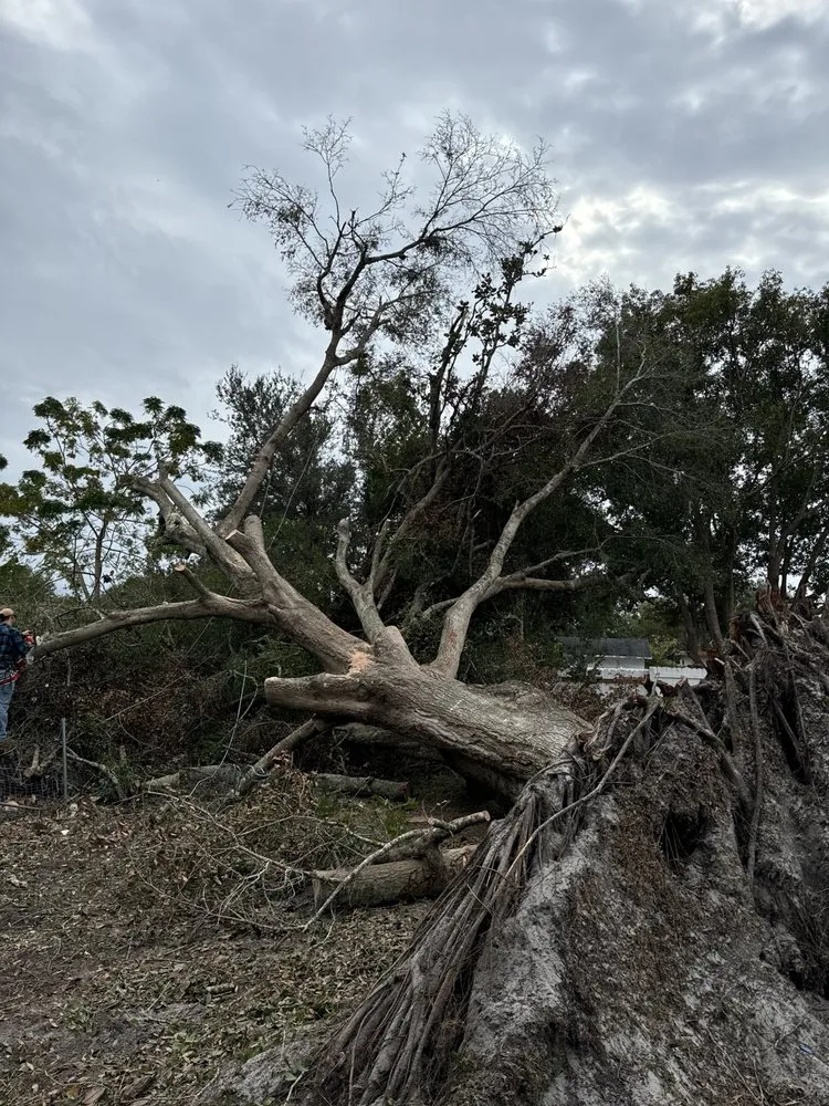 Top-rated lawn care service in Orange City, FL - On The Fly 407