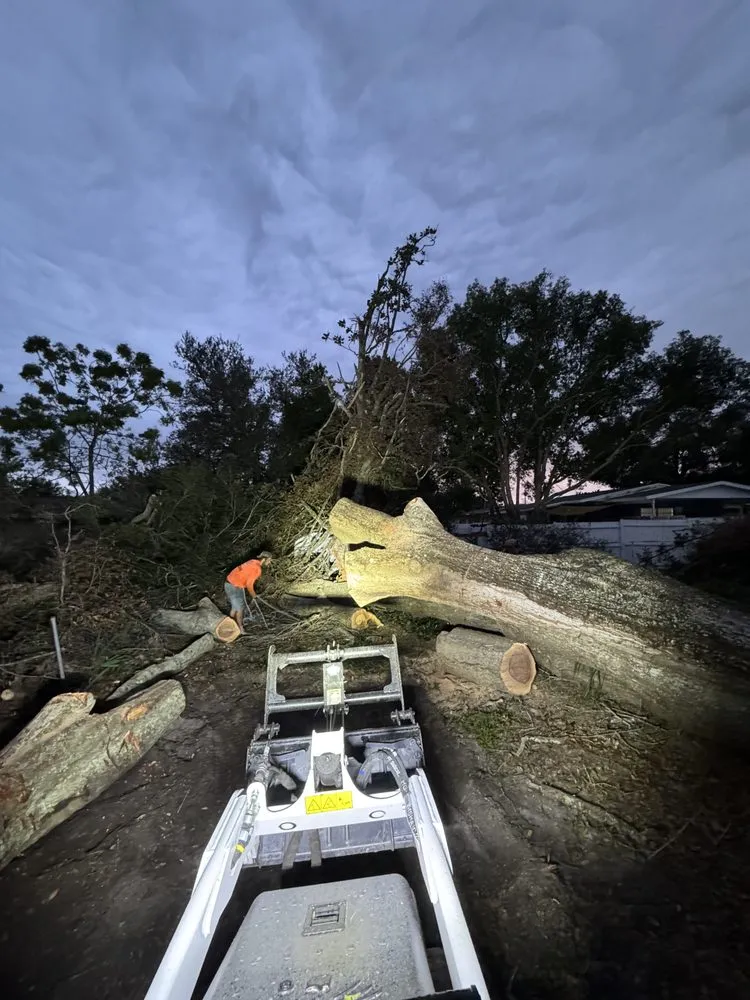 Affordable landscape design near you in Orange City, FL by On The Fly 407