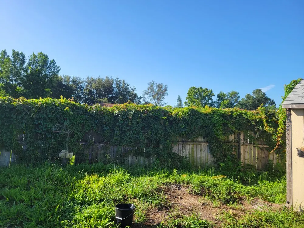 Professional lawn mowing service for outdoor upgrades across Orange City, FL - On The Fly 407