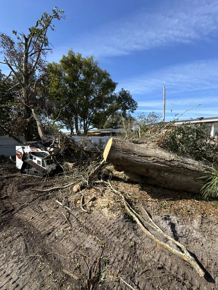 Local residential landscaping in Orange City, FL - On The Fly 407
