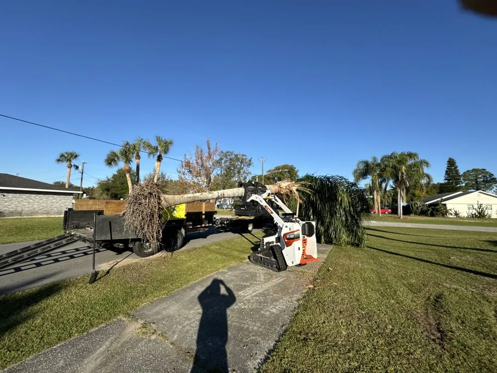 Expert lawn care service near you across Orange City, FL - On The Fly 407