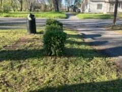 Affordable residential landscaping experts serving Little Rock, AR - On The Go Lawn and Detailing