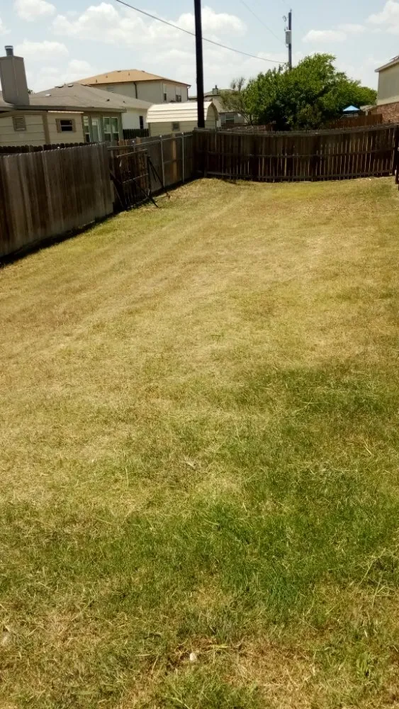 Local garden landscaping experts serving Killeen, TX - On the go lawn and landscaping services