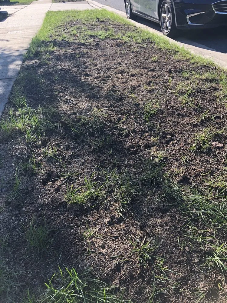 Top-rated landscaping services in Gambrills, MD by On The Green