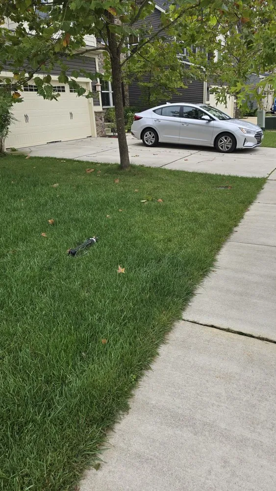 Expert lawn care service for residential properties across Gambrills, MD - On The Green