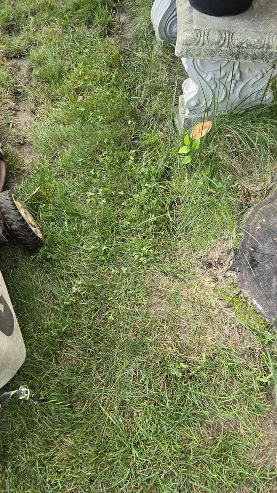 Custom garden landscaping experts serving Gambrills, MD - On The Green