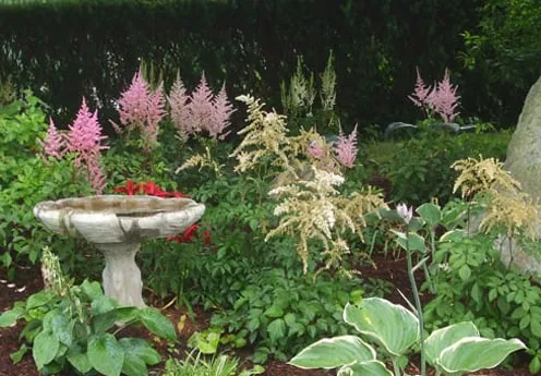 Local lawn care service for outdoor upgrades in Wakefield, RI by On The Green Side