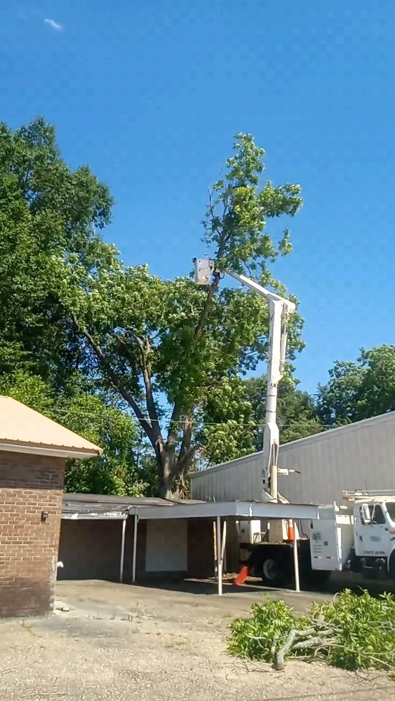 Professional landscape design for outdoor upgrades across Pansey, AL - On The Grind Stump & Tree Removal