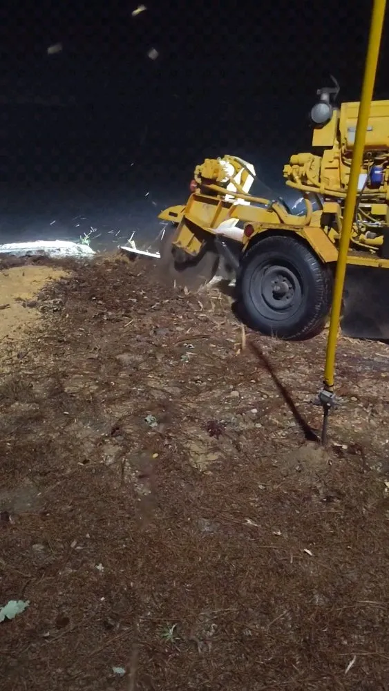 Top-rated yard cleanup service in Pansey, AL by On The Grind Stump & Tree Removal