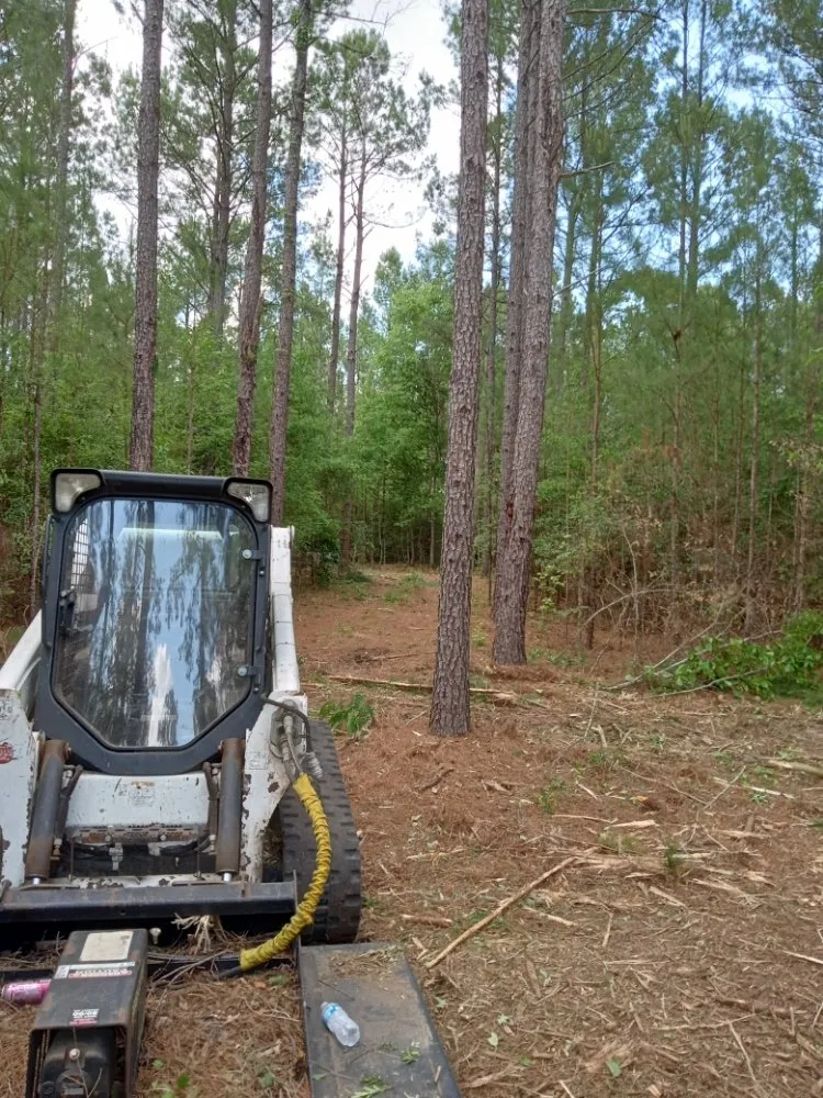 Custom lawn mowing service for homes in Pansey, AL by On The Grind Stump & Tree Removal
