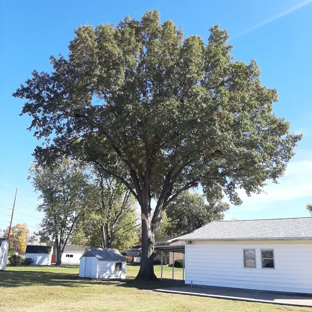 Custom residential landscaping in Boonville, IN by On the Grind tree Service & Stump Grinding