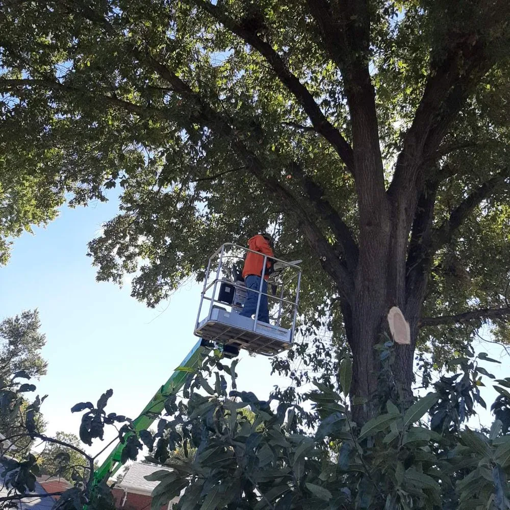 Affordable residential landscaping experts serving Boonville, IN - On the Grind tree Service & Stump Grinding