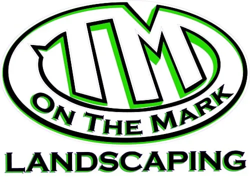 Top-rated yard cleanup service in Bohemia, NY by On the Mark Landscaping