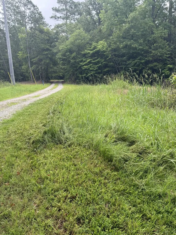 Expert garden landscaping experts serving Wrightsville, GA - On the mend Lawncare